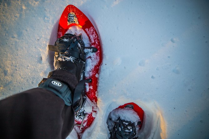 Wilderness Snowshoe Adventure - Photographers Perspective