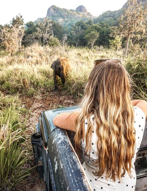 Wildlife Elephant Safari Hurulu Eco Park - Safari Experience