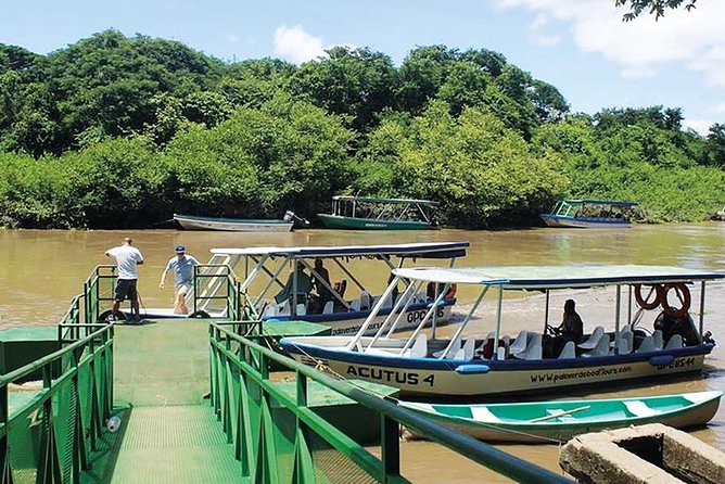 Wildlife River Boat Safari & Cultural Experience. - Tempisque River Journey