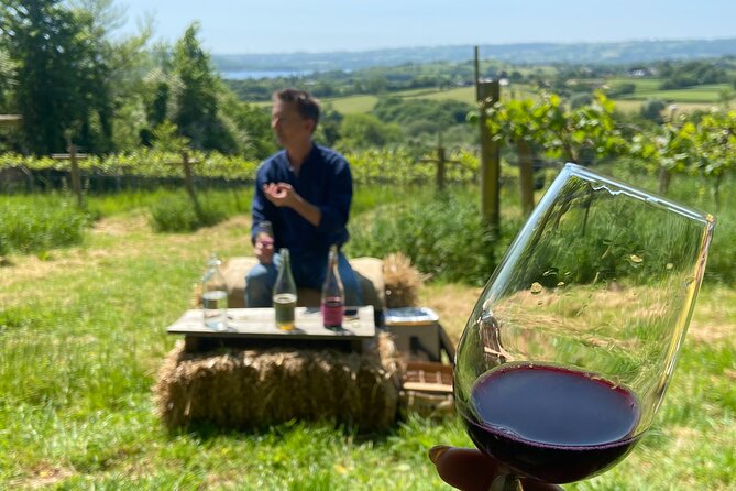 Wine and Cheese Tasting Tour in Cheddar Valley - Meeting and End Points