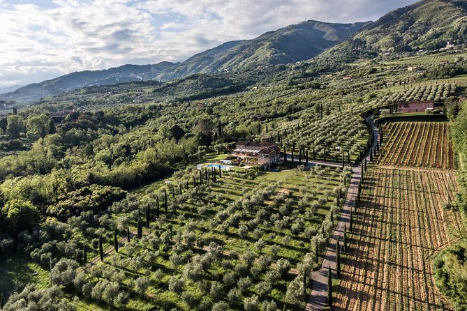 Wine and Olive Oil Tasting & Farm Tour - Accessibility and Additional Info