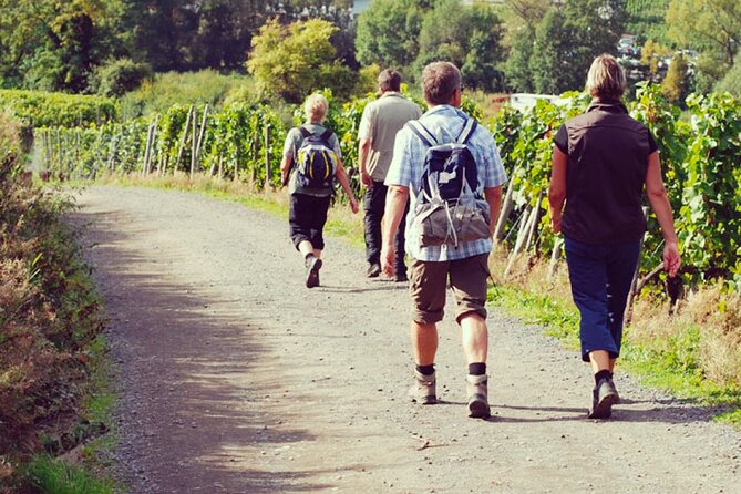 Wine Hiking Sip & Trek - Tasting the Regions Finest Vintages
