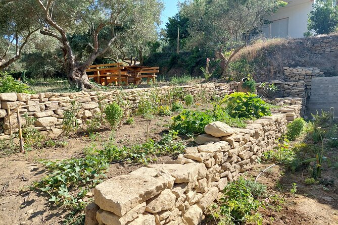 Wine Tasting: Meet the Cretan Vineyard at West Chania - Locally-Sourced Delicacies