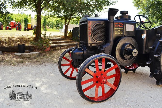 Wine Tour and Tasting at Le Marches Oldest Wine Estate - Le Marches Native Wine Selections