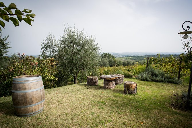 Wine Tour Experience at Agricola Tamburini - Educational Insights During the Wine Tasting