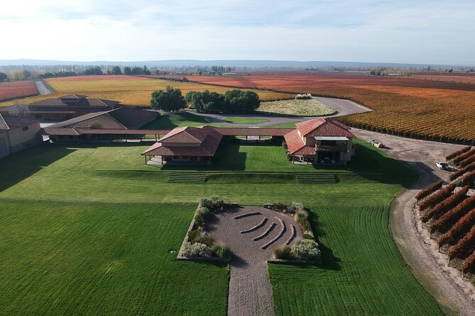 Wine Tour With Lunch and Transport in Mendoza - Olive Oil Production Experience