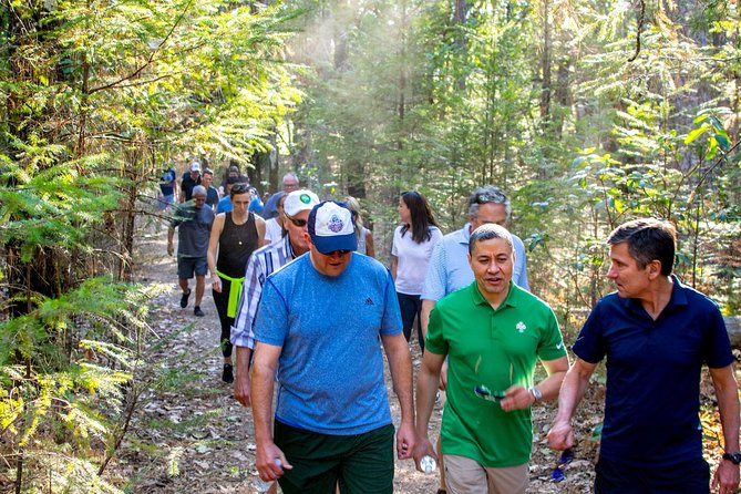 Wine & Wellness Tour in Napa Valley - Morning Hiking Experience