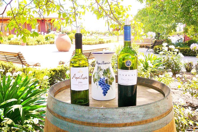 Winery & Valparaiso Private Tour - Day Trip From Santiago - Inclusions and Logistics