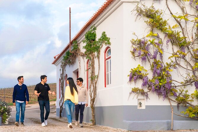 Winery Visit & Setubal Fish Market Tour With Tasting From Lisbon - Transportation and Meeting