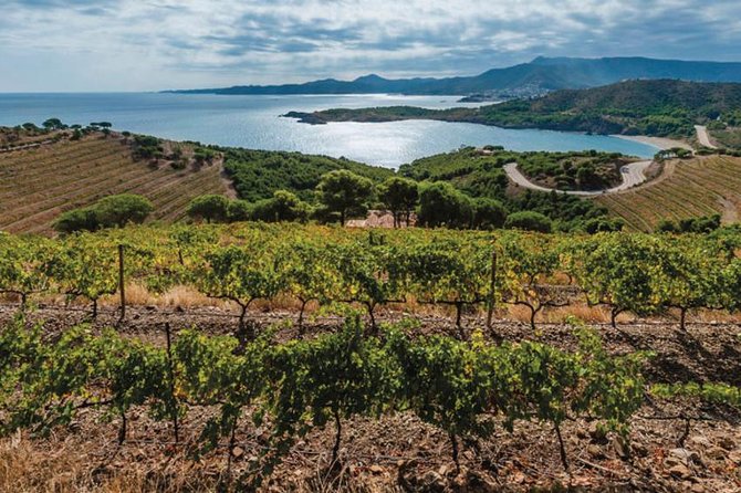 Wines Tasting and Typical Breakfast Small Group Tour From Girona - Tour Inclusions