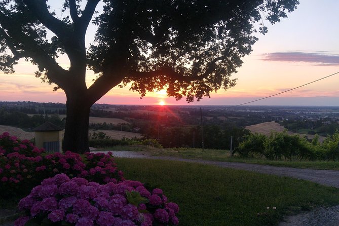 Winetour and Tasting on Bologna Hills, Guided by the Wine Grower - Travel Logistics