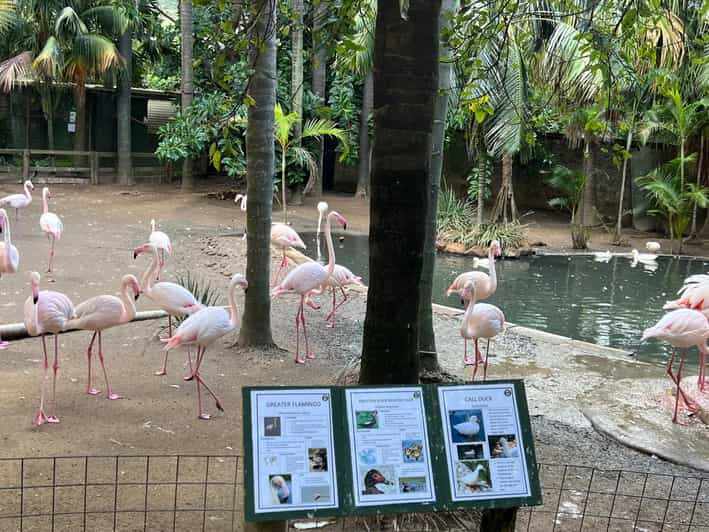 World of Birds, Kirstenbosch & Constantia Wine Private Tour - Visiting Constantia Wine Estate