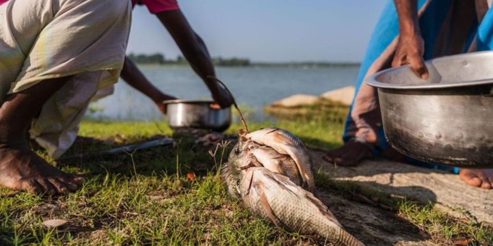 Yala: Lake Fishing and Village Dining Tour! - Inclusions