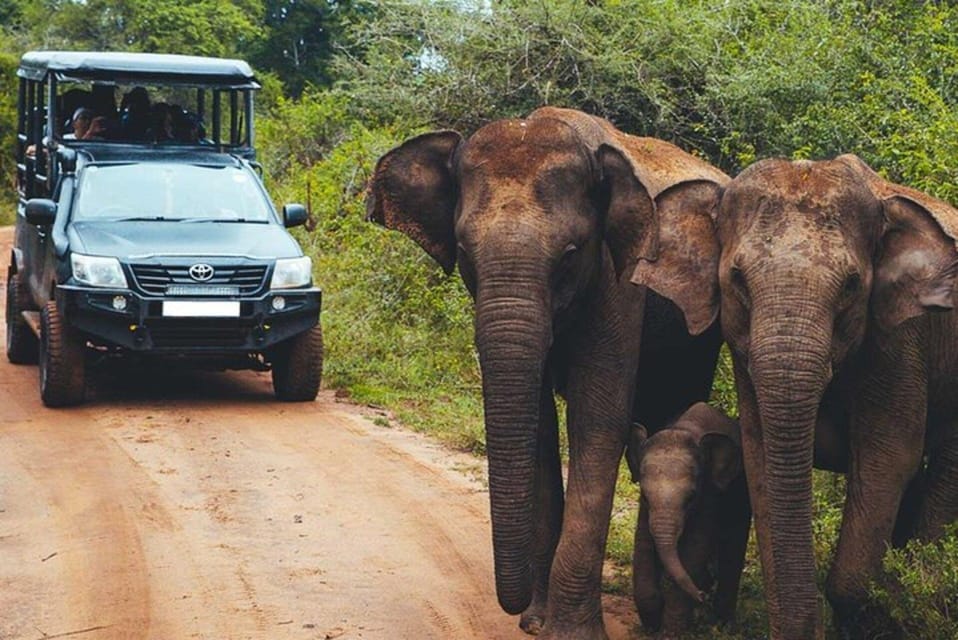 Yala National Park Half Day Safari by Toyota Jeep - Safari Duration