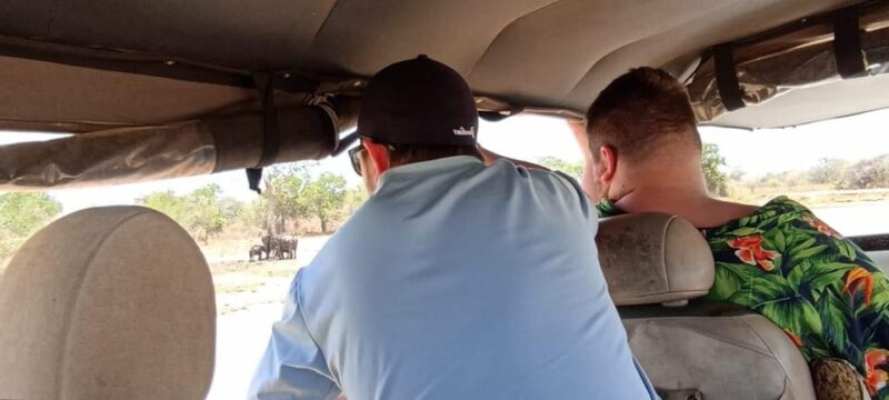 Yala National Park Safari Tour From Colombo / Galle - Wildlife Experience
