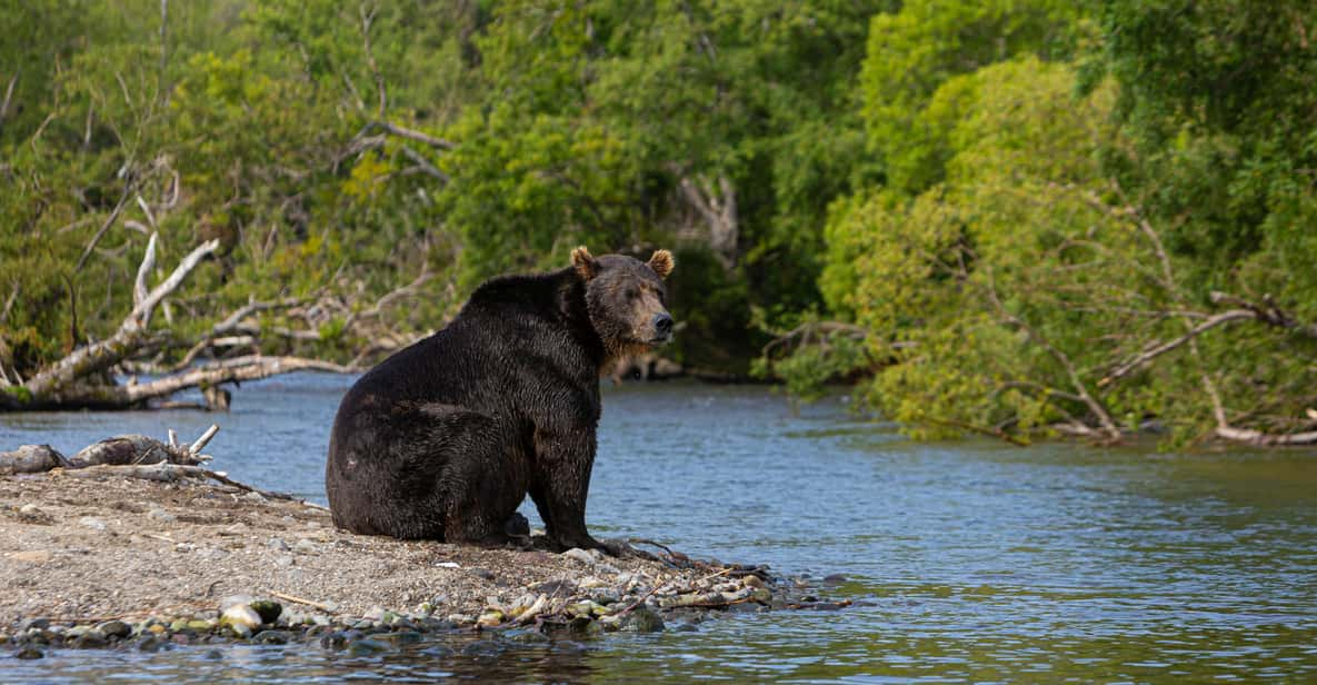 Yala Safari Tour From Hambantota Port - Booking Information