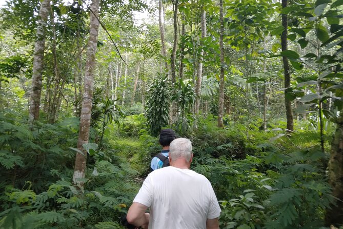 Yogyakarta Countryside Walking Tour - Lunch Options Available