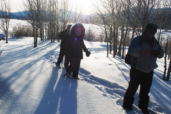 Yukon Ice Fishing & Snowshoeing Tour | Half Day - Fishing in Scenic Locations