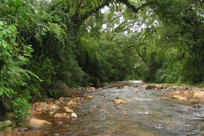 Yungas Half-Day Tour From Tucuman - Visiting the Dr. Ernesto Padilla Museum