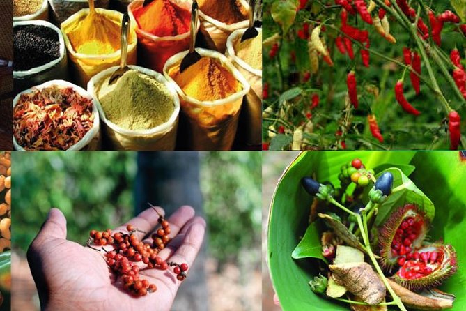 Zanzibar Cooking Class & Spice Tour - Culinary Activities Included