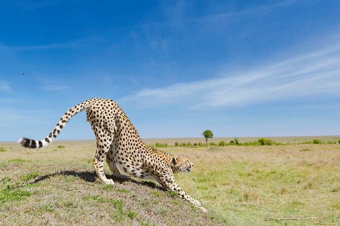 Zanzibar Excursions - Additional Activities