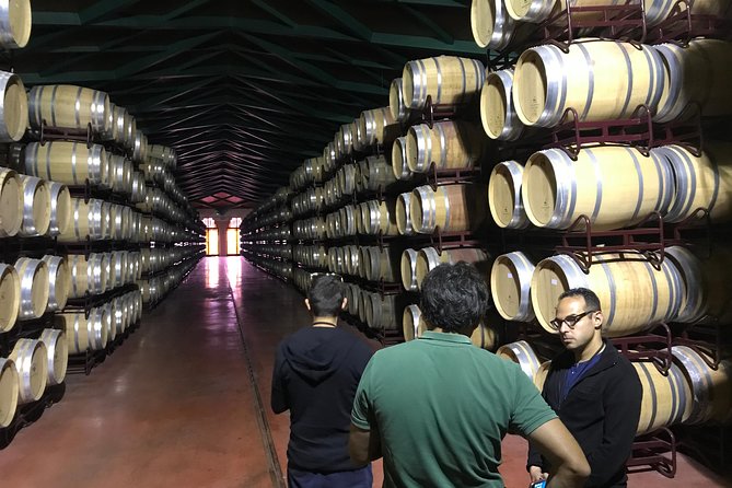 Zaragoza to Cariñena Wineries Full-Day Private Tour - Transportation and Transfers