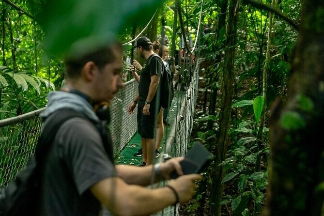 Zipline Adventure & Rainforest Hanging Bridges-Skywalk - Scenic Hike and Views