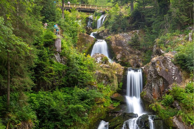 Zürich: Private Car Tour to Rhine Falls, Titisee and Black Forest - Tour Experience