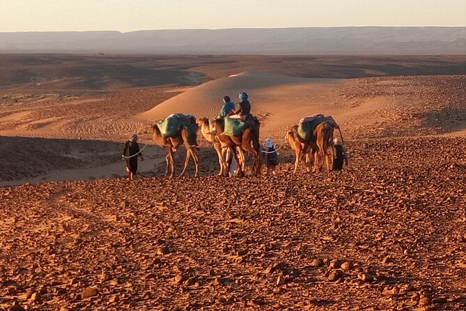 4 Day Private Desert Trek From MHAMID to Chegaga - Good To Know