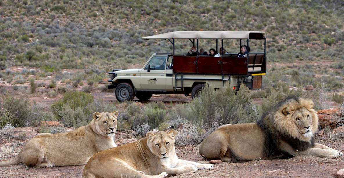 4-Day Private Highlights Tour & Overnight Big5 Aquila Safari - Good To Know