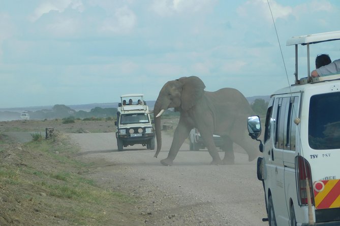 4 Day Private Masai Mara National Reserve & Lake Nakuru National Park Safari - Good To Know