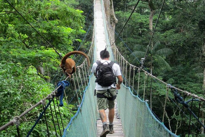 4-Day Tambopata National Reserve – Tambopata Peru Tours - Good To Know