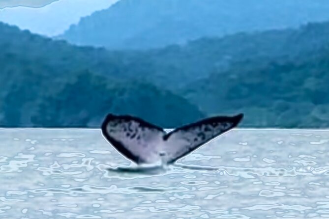 4 Days Adventure and Whale Watching in Nuqui - About Your Stay