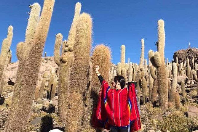 4 Days Bolivia Private Luxury Tour With English Guide From La Paz Bolivia - Itinerary Highlights