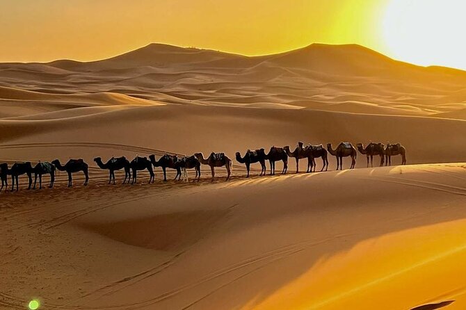 4 Days Desert Tour From Marrakech to Fes via Merzouga Dunes - Tour Overview