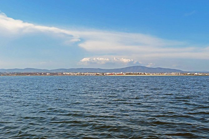 4-Hour Private Boat Tour in Ria Formosa - Tour Overview