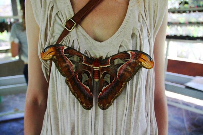 4-Hour Private Tour in Jatiluwih Terraces and Butterfly Park - Good To Know