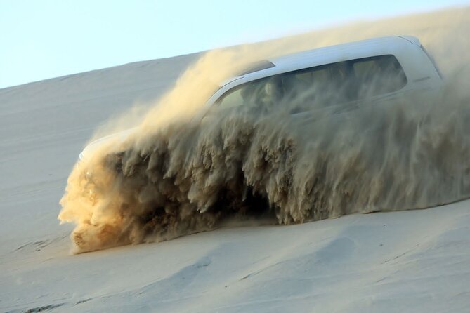 4 Hour Qatar Desert Safari Tour - Good To Know
