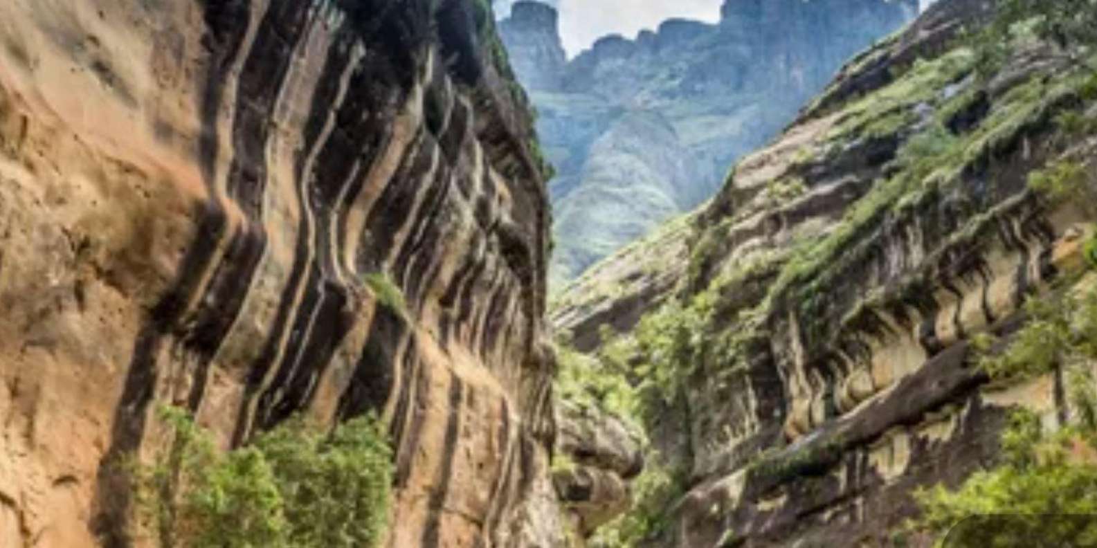 1/2 Day Drakensberg Mountains & Hiking Tour From Durban - Transportation and Accessibility