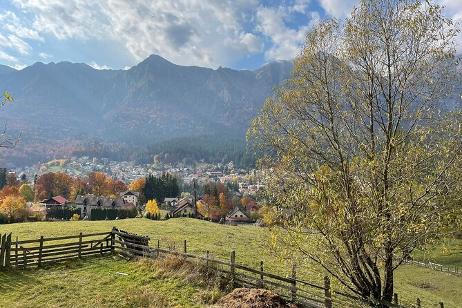 1 Day ATV Tour in Carpathian Mountains - Vlad the Impalers Legends