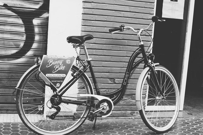 1 Day Bike Rental in Seville City - Recommendations From Local Staff