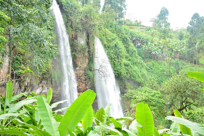 1 Day Sipi Falls Hike - Customizable Itinerary Options
