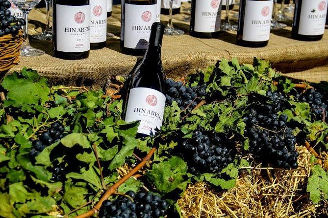 1-Day Tour to Aragatsotn Wine Region and Wine Route. - Guest Reviews and Feedback