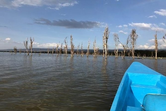 1 Day Trip to Hells Gate and Lake Naivasha From Nairobi - Inclusions and Logistics