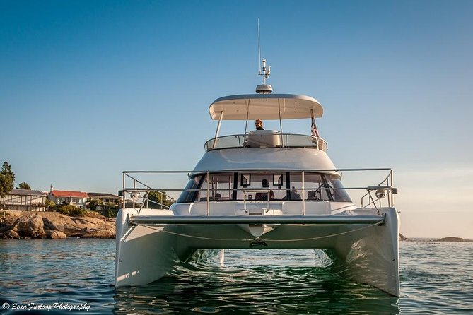 1 Hour Coastal Catamaran Cruise From Cape Town - Amenities and Inclusions