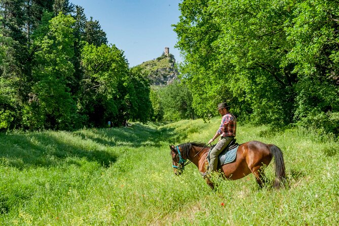 1 Hour Horseback Ride in Valgraziosa Review - Participant Requirements