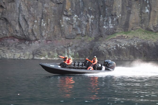 1 Hour Iceland Nature and Wildlife RIB Small Group Guided Safari - Accessibility