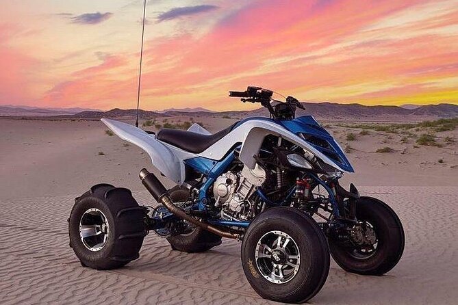 1-Hour Quad Bike Adventure: BBQ Dinner, Sandboarding & Shows! - Guest Testimonials