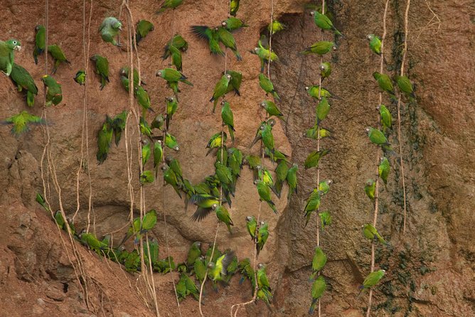 10-Day Galapagos and Amazon Quest - Cultural Experiences