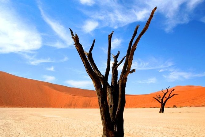 10-DAY Namibia Hightlights Guided Tour From Windhoek - Booking Information and Pricing